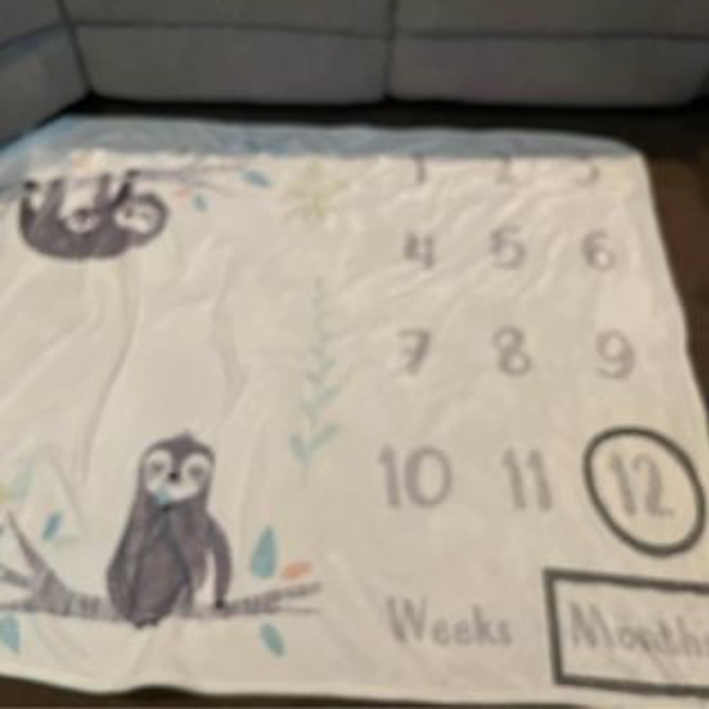 Baby milestone blanket